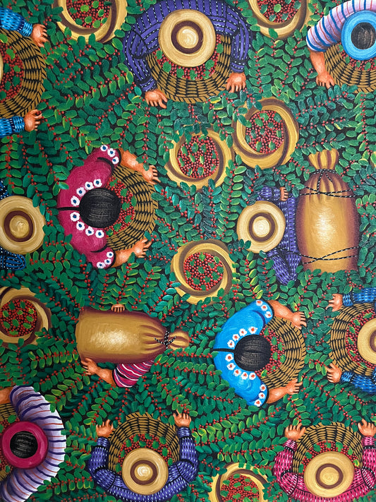 Cosecha de café (verde)